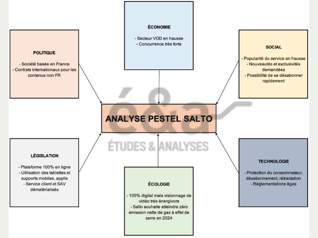 Analyse PESTEL, facteurs environnementaux - société de VOD Salto