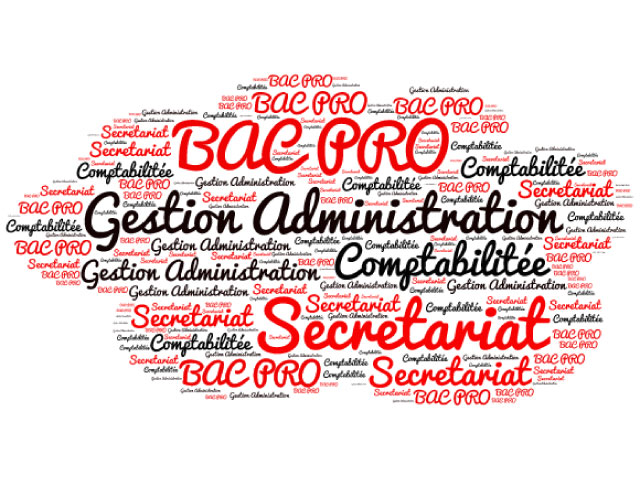 Le bac professionnel en gestion (Bac Pro Gestion) : les filières, le programme, les débouchés